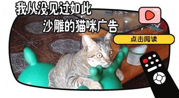  神经病猫搞笑QQ幽默表情包