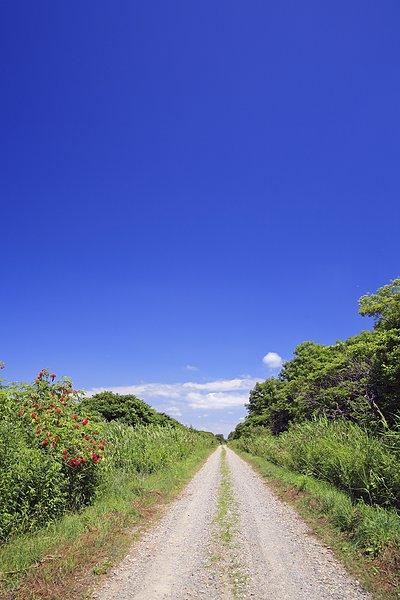 道路_乡村地区_图片大全—全景创意图库（quanjing.com）中国领先的正版图片视频素材网站