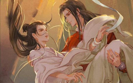 【天官赐福】“曾经，你接住了我，现在，哥哥，换我来保护你”