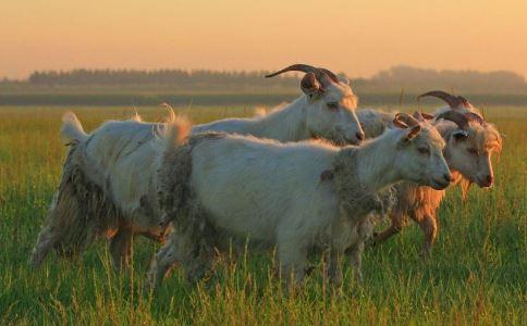 春季流感有哪些症状