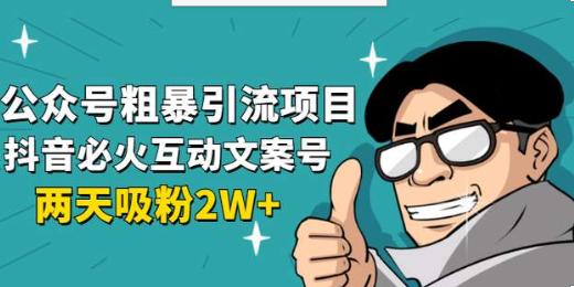 公众号粗暴引流项目:抖音必火互动文案号，两天吸粉2w+