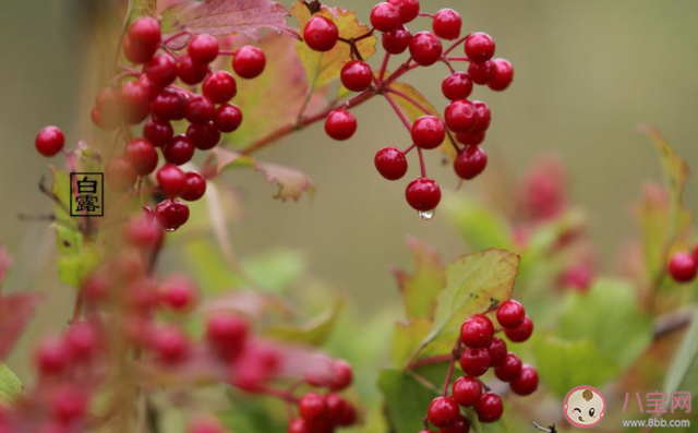 惊艳一句话文案2020