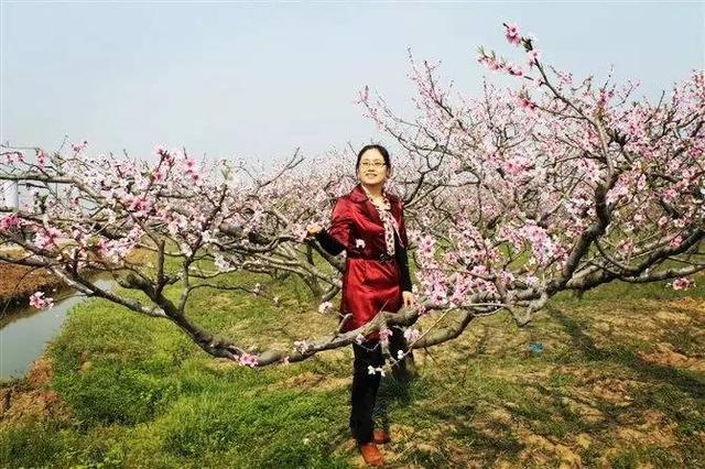 关于拓宽视野才能提升自我的名言