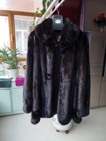 哈尔滨7000买貂相关长尾关键词有哪些