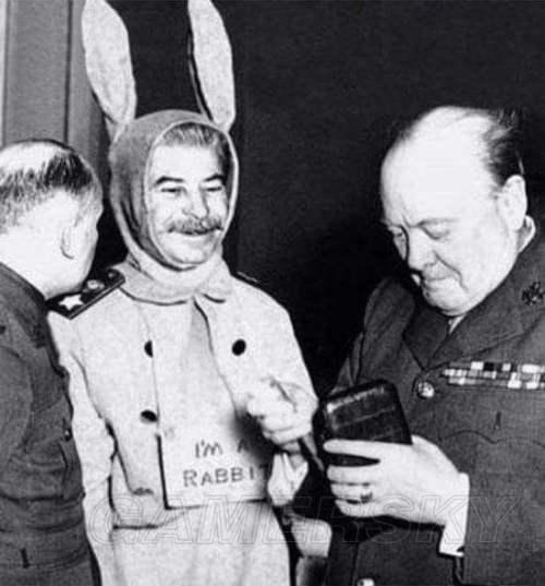 长辈有哪些让人惊艳的名字