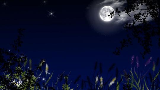 夜晚,明月,天空,背景,素材