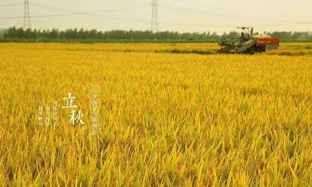 立秋有什么传统习俗
