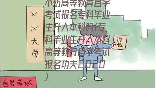 建议在专科期间报自考本科吗?在校内可以报自考本科吗?