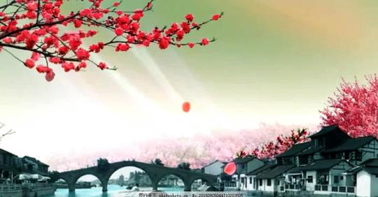 中国风背景古风梅花水乡花海背景素材视频多媒体