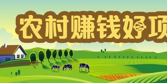 新型农村创业项目(30个农村创业项目)插图