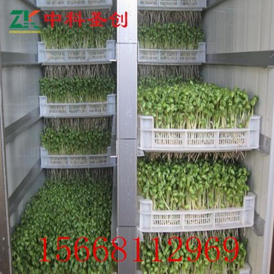 创业神器—中科芽苗菜机