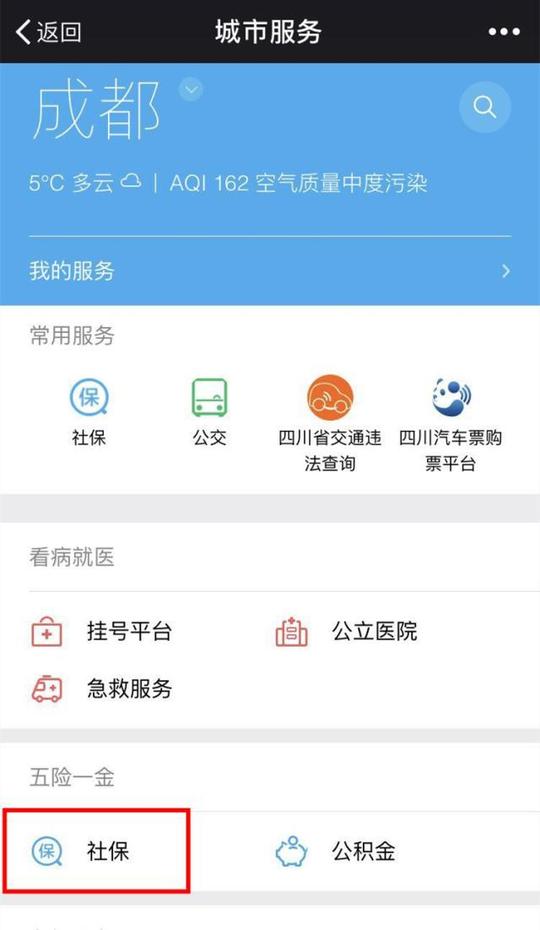 社会正文然后你会看到这样下图上个月社保缴纳了多少总共缴纳了