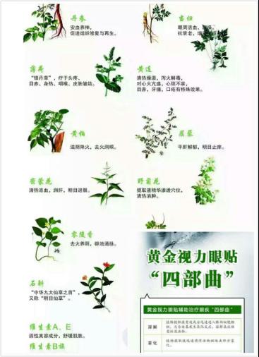 黄金视力眼贴多少钱?怎么代理?780元实现你的创业梦