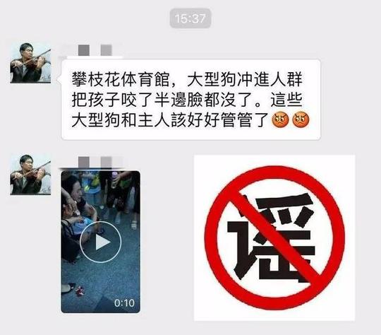 网传攀枝花体育馆,大型狗冲进人群咬伤儿童信息不属实,系谣言.