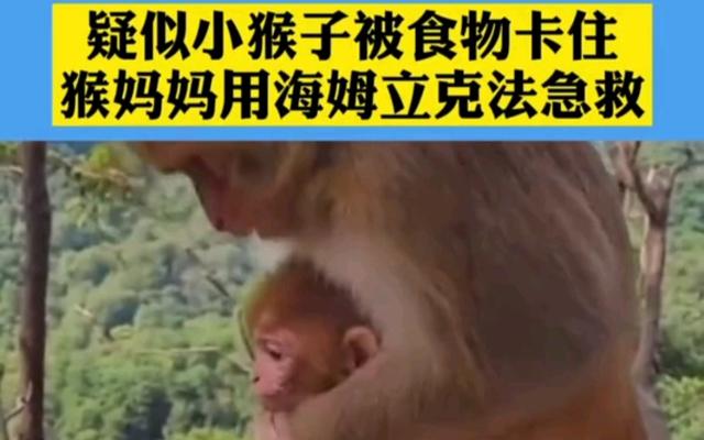 宝宝吃东西卡住如何急救图