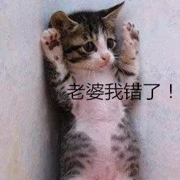 呜呜呜呜表情包可爱