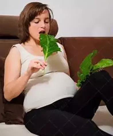 孕妇食物禁忌表