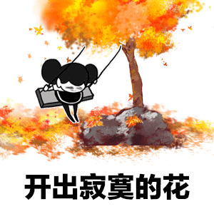 文山一毛驴"坐"车上了抖音!结果令人哭笑不得