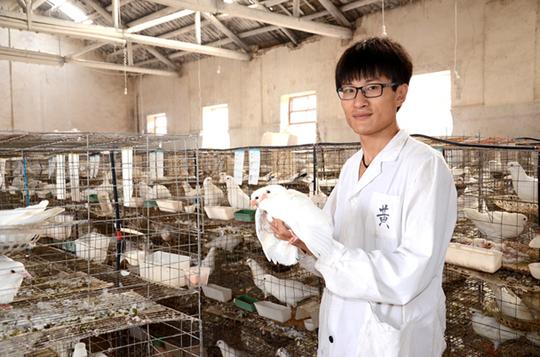 大学生回乡创业成"鸽王"_怪奇公社_新浪博客