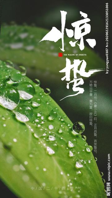 惊蛰节气祝福语大全