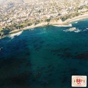 California(88rising)