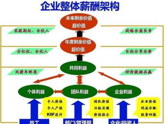 这个模式分配的不是企业既有的利润,而是一种超价值的分配,要求管理