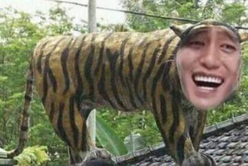 网站你懂得表情图片