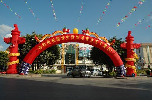 供应郑州拱门出租