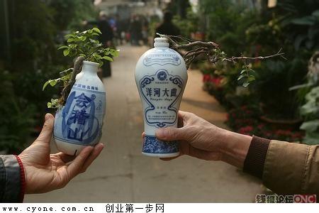 创业项目-构思项目酒瓶盆景:独具构思能挣钱