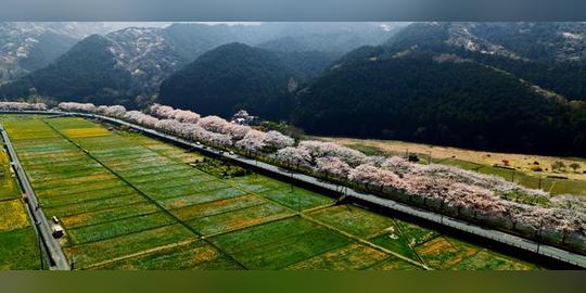 震撼超高清风景航拍摄影演示视频-惊人4k,8k,12k分辨率视频