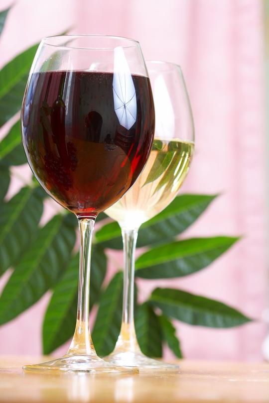 杯杯子长城法国干红干红葡萄酒红酒进口酒拉菲葡萄酒网