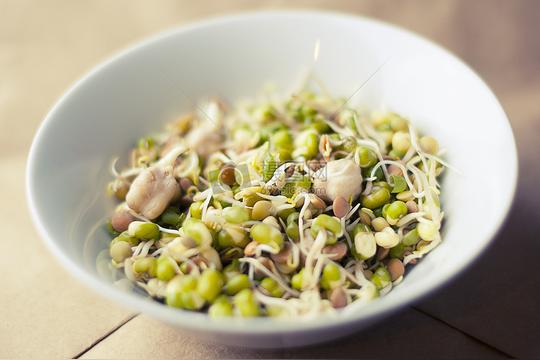 碗中发芽的豆芽图片素材免费下载jpg图片格式高清图片72988摄图网