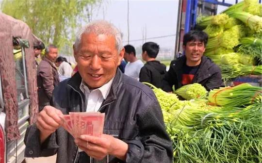 新知达人,在农村有10亩土地，种植什么可以年收入10万元以上?推荐一些