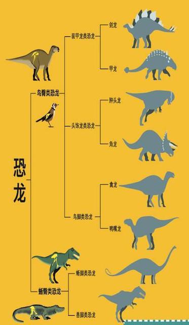 恐龍的種類名稱 100種恐龍圖鑒大全