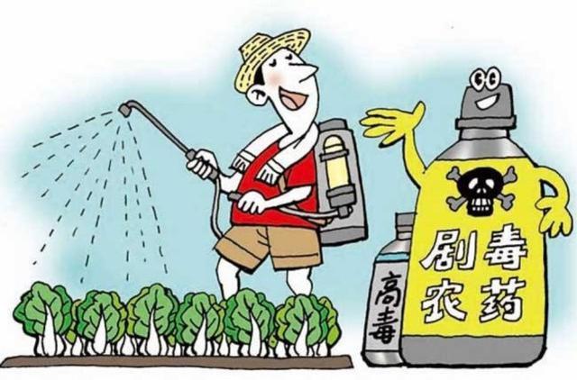 孩子不吃蔬菜怎么办
