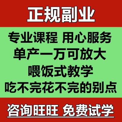1副业赚钱小项目小白零基础开店自媒体变现创业课程方案
