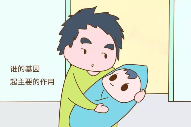 孩子的容貌谁决定