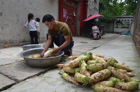 河南农村小伙开店只卖这种菜，6块钱一碗，每天400碗不够卖