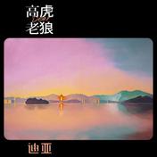 迪亚(老狼/痛仰乐队)