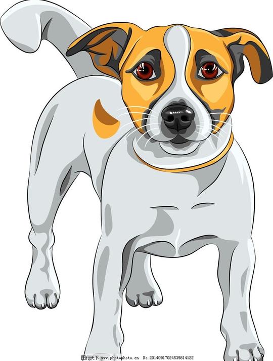宠物狗小狗卡通犬类手绘小狗手绘肖像插画卡通小狗狗狗