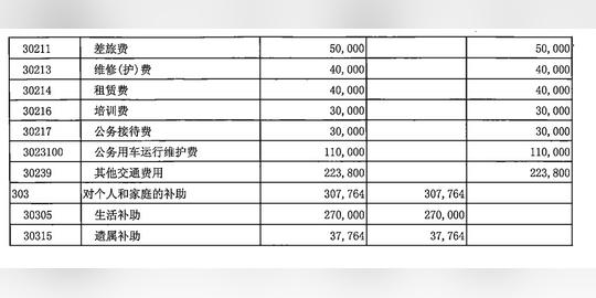 临桂国土2019年预算报表