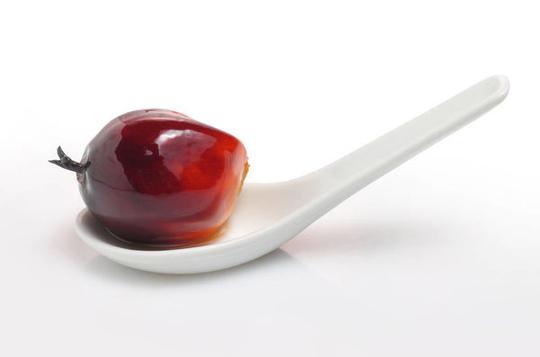 油,棕榈果
