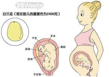 35个月的宝宝发育标准