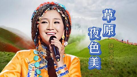 描写草原夜色美的句子