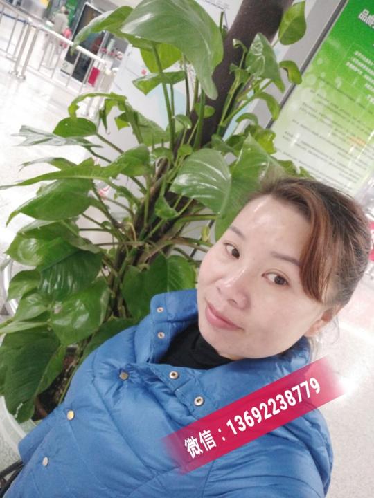 酒窝美女的创业经历,tst创业微商先锋一路辉煌!