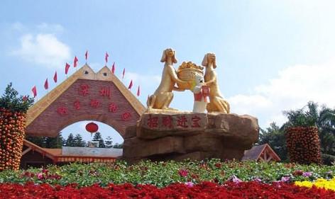 深圳好玩的景点推荐