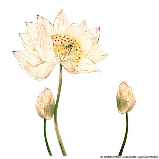 荷花装饰画_素材-蜜蜂图库_免费素材下载_coreldraw