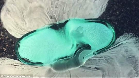 动图:药片在胃里溶解是啥样?微距摄影视频展示