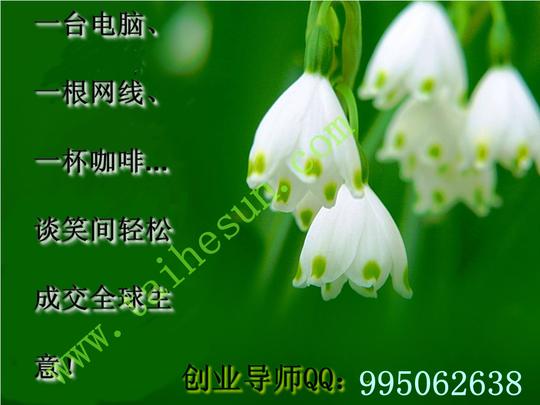 作为互联网创业的首选项目电子商务到底是什么