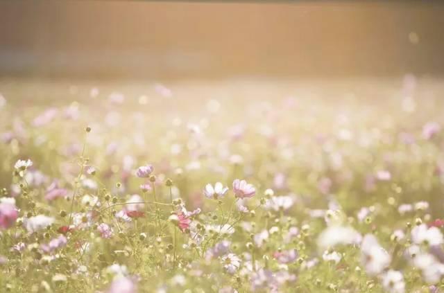宝宝刚开始学说话怎么形容